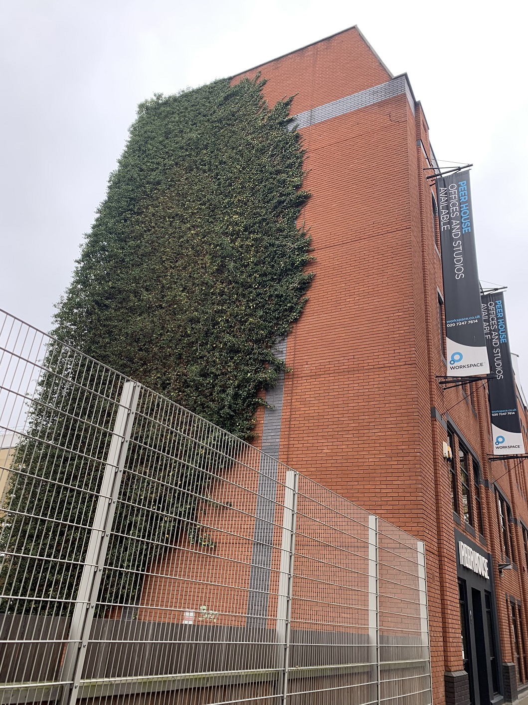 rustic brick building with wall plants