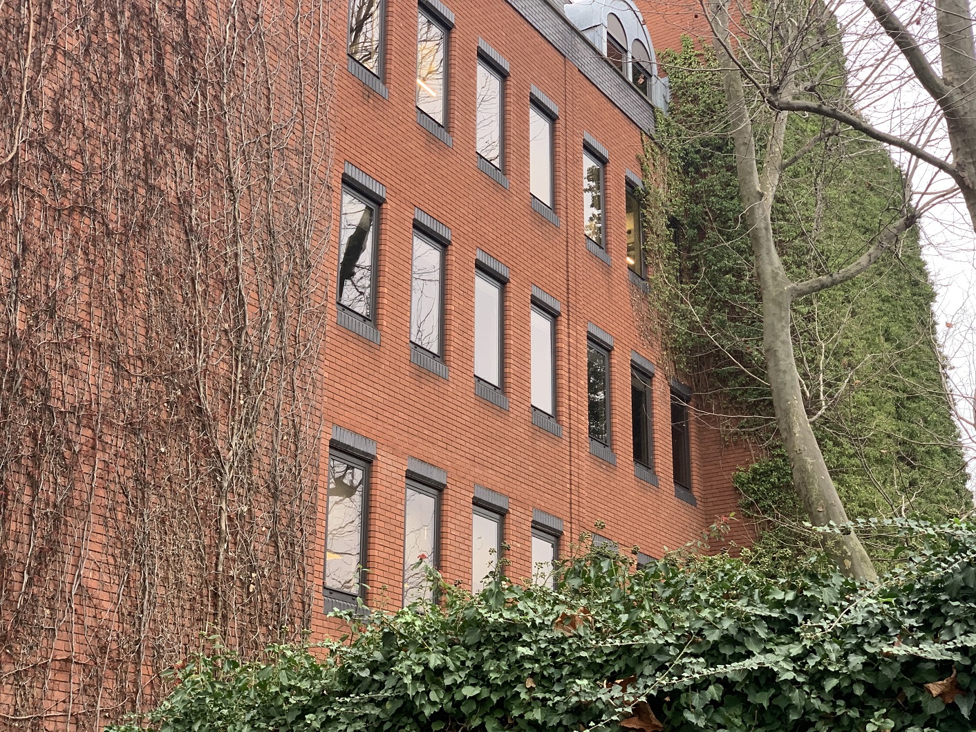 brick building with windows and wall plants and trees